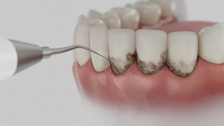 Reliable Dental contractor in Druid Hills, GA by Dentist Open Now